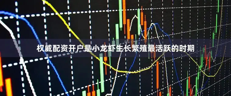 权威配资开户是小龙虾生长繁殖最活跃的时期