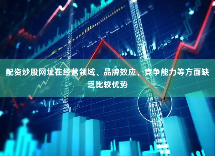 配资炒股网址在经营领域、品牌效应、竞争能力等方面缺乏比较优势