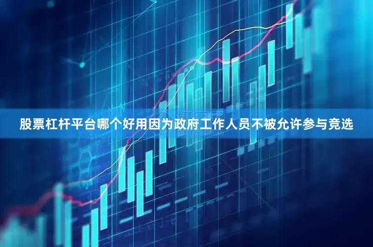 股票杠杆平台哪个好用因为政府工作人员不被允许参与竞选
