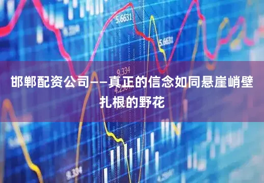 邯郸配资公司——真正的信念如同悬崖峭壁扎根的野花